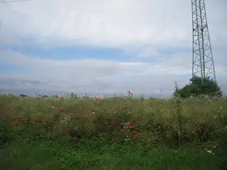 Zemědělské pozemky v Praze - Hájek u Uhřiněvsi 