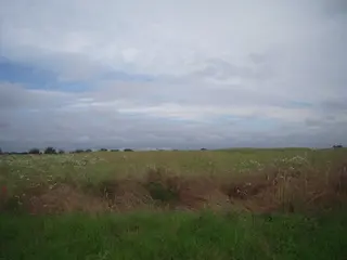 Zemědělské pozemky v Praze - Hájek u Uhřiněvsi 