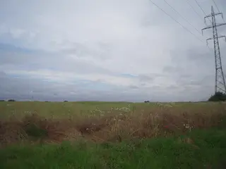 Zemědělské pozemky v Praze - Hájek u Uhřiněvsi 