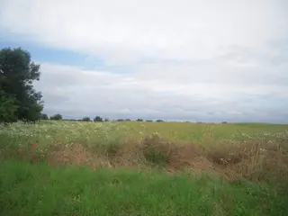 Zemědělské pozemky v Praze - Hájek u Uhřiněvsi 