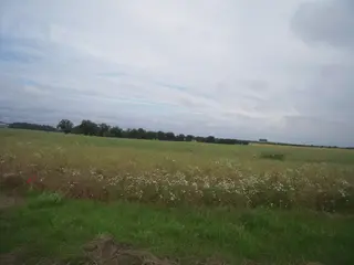 Zemědělské pozemky v Praze - Hájek u Uhřiněvsi 