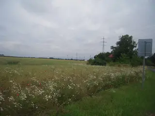 Zemědělské pozemky v Praze - Hájek u Uhřiněvsi 