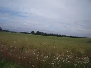 Zemědělské pozemky v Praze - Hájek u Uhřiněvsi 